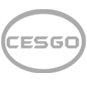 CESGO